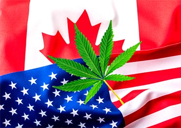 2022 New Year, New Regulations updated on Cannabis industry in USA and Canada
