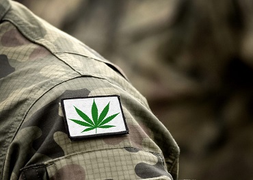 재향 군인을 위한 의료용 마리화나 혜택에 대한 연구 법안을 고려하는 하원 위원회