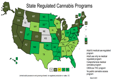 주정부 의료 마리화나 법률